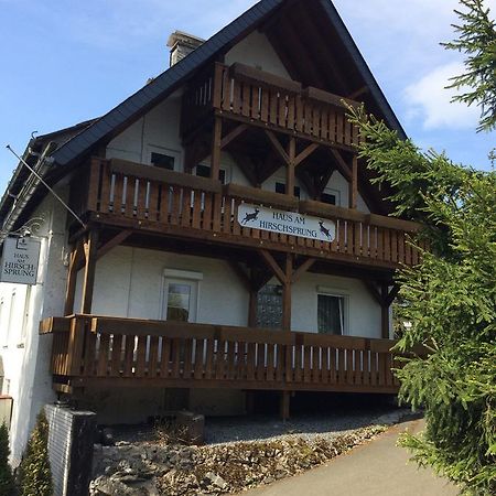 Pension Haus Am Hirschsprung Willingen  Exteriér fotografie