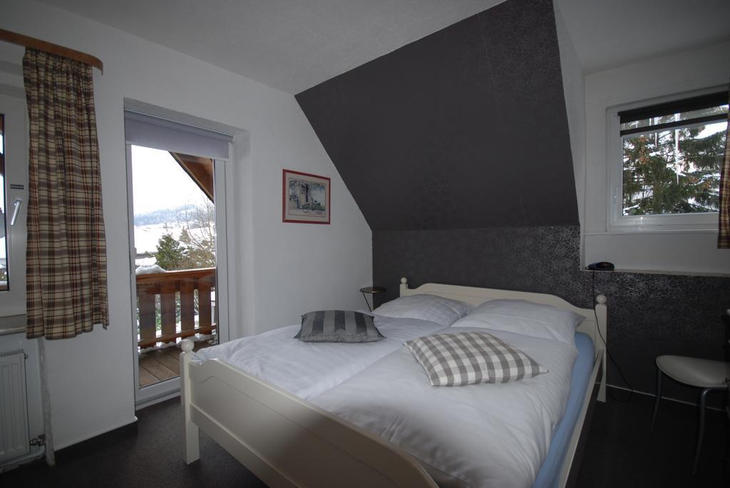 Pension Haus Am Hirschsprung Willingen  Exteriér fotografie
