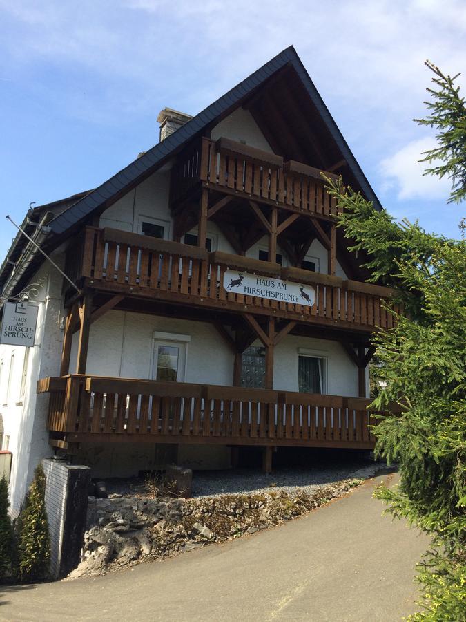 Pension Haus Am Hirschsprung Willingen  Exteriér fotografie